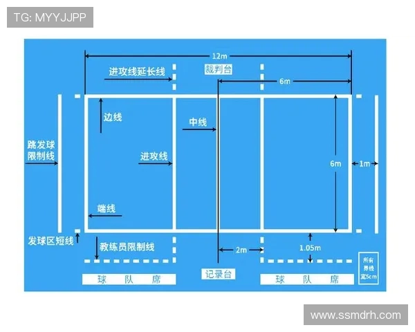 武汉排球队整体压制体系的排球战术解析与应用探讨